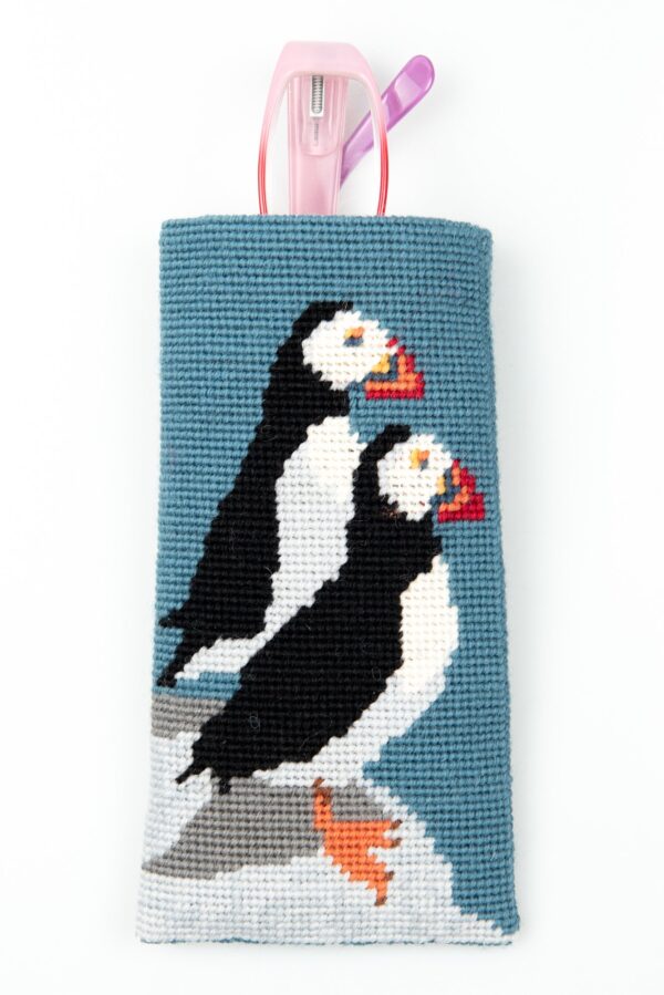 Puffins Glasses Case