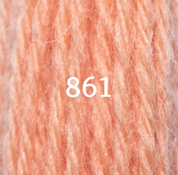 Coral-861