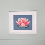 The Lotus Flower