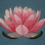 The Lotus Flower